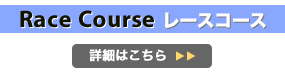 レース