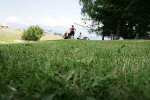 【7/20（月）の現地便り】（4）フランスには原っぱがたくさんあるので観戦ポイントも多いし、ヘリコプターが着陸できるところも多い。強烈な日差しを避けて木陰で観戦するのがいい。（山口和幸）&nbsp;ステージハイライト動画はこちら>>